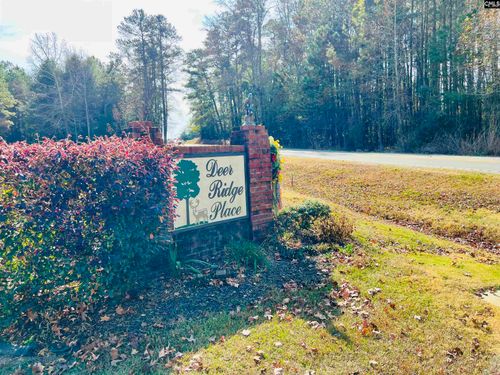 127 Deer Ridge Drive, Gilbert, SC, 29054 | Card Image