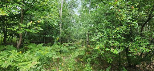 Parcel D&E River Road, Brown Township, MI, 49660 | Card Image