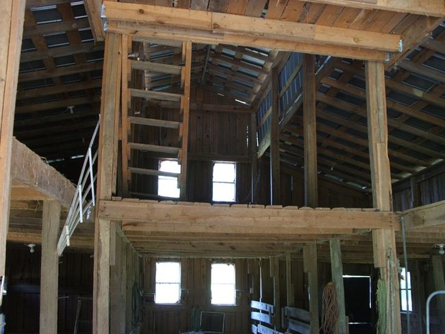3859 Saxkey Rd, Home with 3 bedrooms, 1 bathrooms and null parking in Saxe VA | Image 46