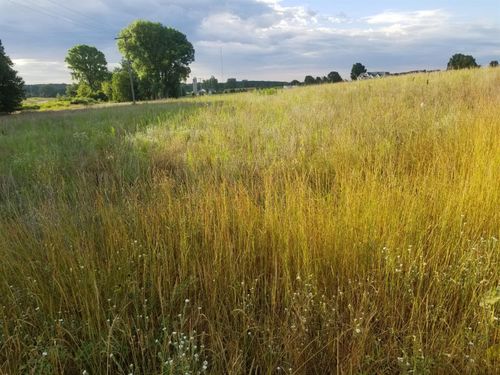 13-859 Greystone Dr, Chelsea, MI, 48118-8201 | Card Image