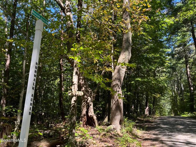 0 Norwalk Acres Rd, Home with 0 bedrooms, 0 bathrooms and null parking in Monterey MA | Image 5