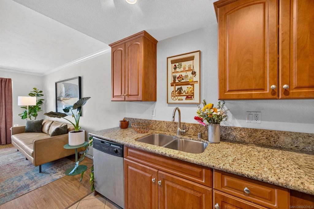 Residential in San Diego 2