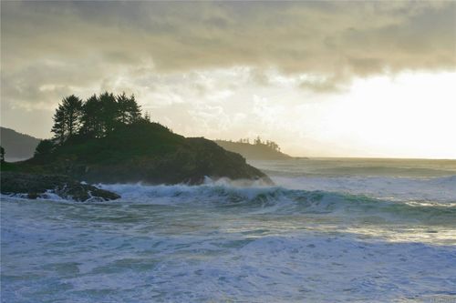 871 Moser Pl, Tofino, BC, V0R2Z0 | Card Image