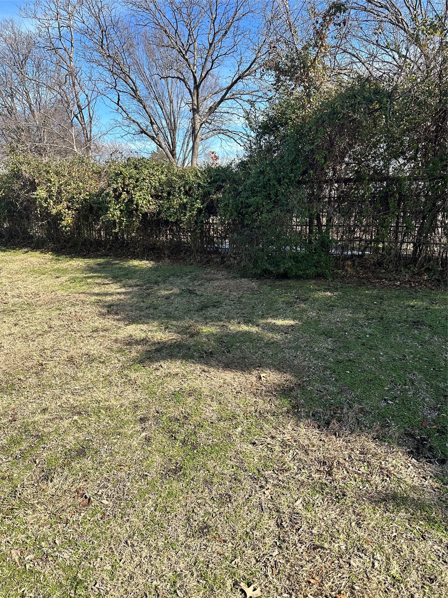 Residential Lease in Lucas 2