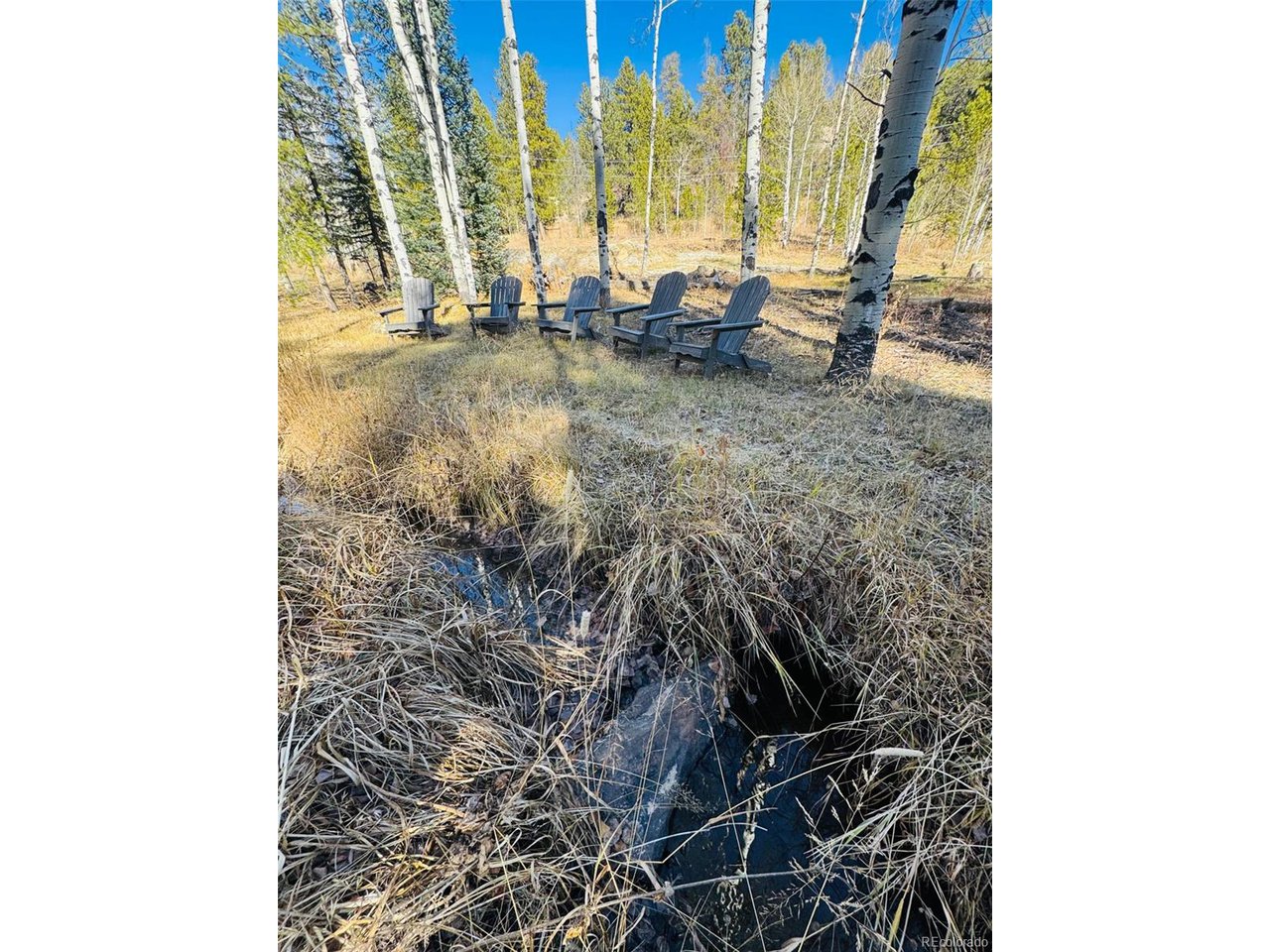 Land in Conifer 2