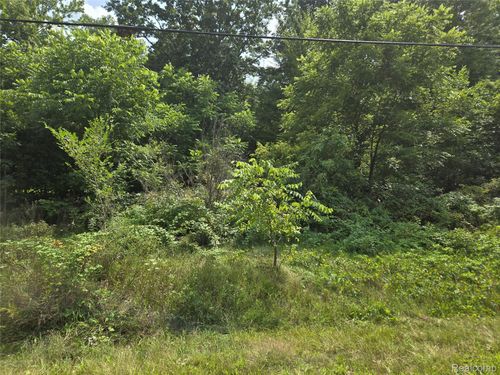 V/L Field Road, Vienna Charter Township, MI, 48420 | Card Image