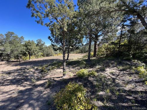 1806 Corral N, Cotopaxi, CO, 81223 | Card Image