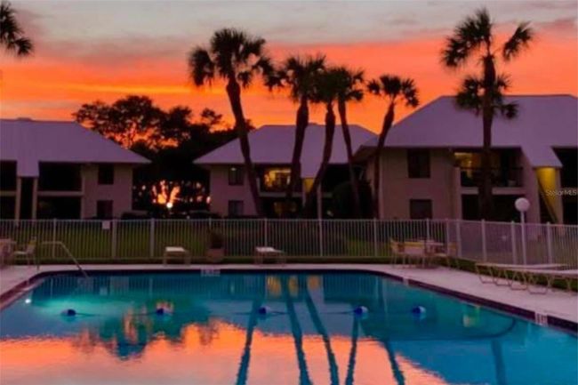 Sunset at the pool | Image 31
