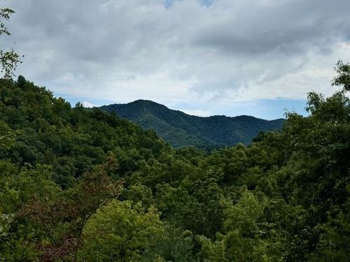 000 Valley View Heights, Andrews, NC, 28901 | Card Image