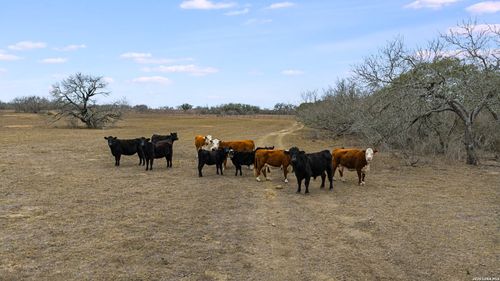 000 County Road 454, Stockdale, TX, 78160 | Card Image