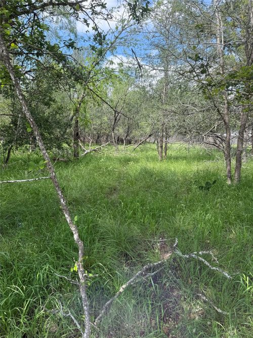 Lot 200 Nene Lane, Bastrop, TX, 78602 | Card Image