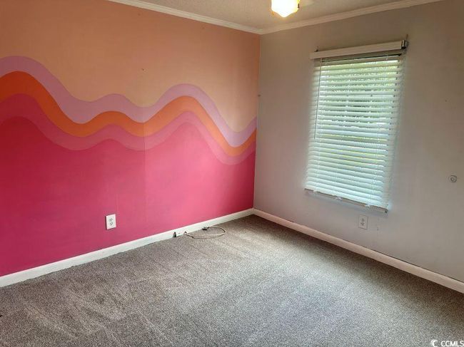 New carpet spare room featuring baseboards and crown molding | Image 20
