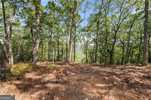 347 Highlands Dr, Clarkesville, GA, 30523-2282 | Card Image