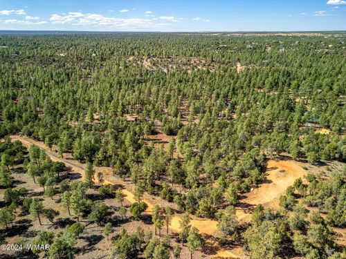 2306 Thunderbird Cir, Overgaard, AZ, 85933-5413 | Card Image