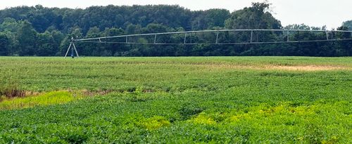 1200 W County Line Rd, Grovertown, IN, 46531 | Card Image