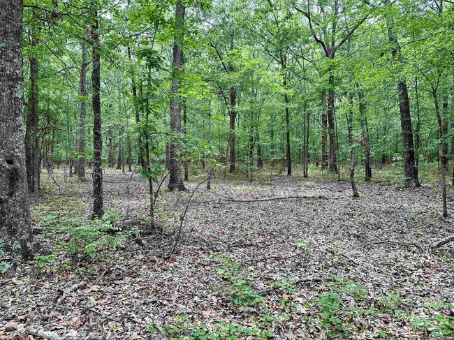 000 Oak Dale Rd, Home with 0 bedrooms, 0 bathrooms and null parking in Lonoke AR | Image 37