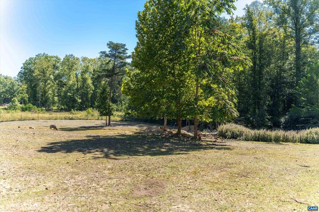1889 Pond Rd, House other with 5 bedrooms, 4 bathrooms and null parking in BUCKINGHAM VA | Image 49