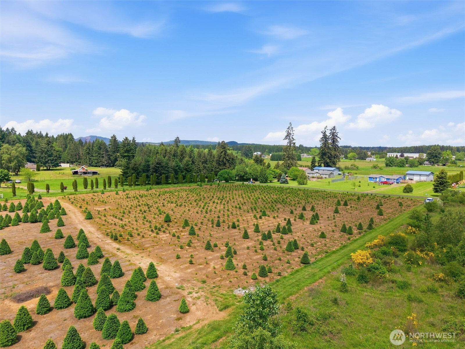 Land in Winlock 4
