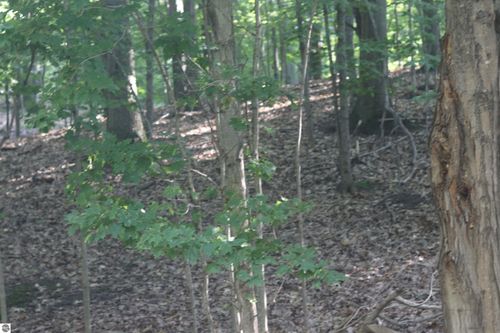 lot 20 Crystal Ridge Dr, Beulah, MI, 49617 | Card Image