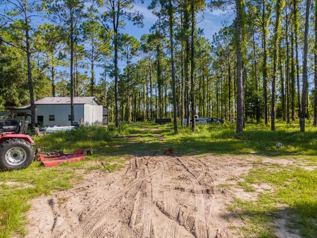 9535 Number Two Rd, Home with 0 bedrooms, 0 bathrooms and null parking in Howey In The Hills FL | Image 6
