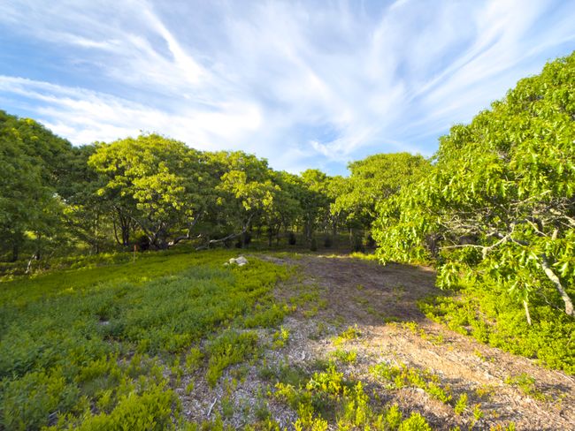 4 Cedar Ln, Home with 0 bedrooms, 0 bathrooms and null parking in Chilmark MA | Image 24