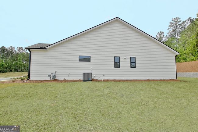 460 Werner Way, House other with 4 bedrooms, 4 bathrooms and 2 parking in Senoia GA | Image 6