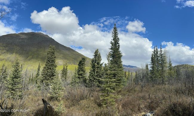 IMG_6754 | Image 16