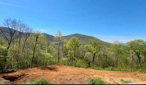 520 Stevia Way, Cosby, TN, 37722 | Card Image