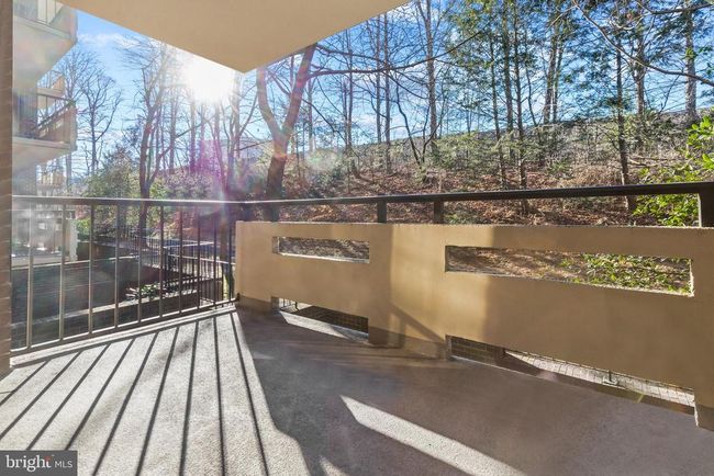 APT-315 - 1808 Old Meadow Rd, Condo with 2 bedrooms, 2 bathrooms and null parking in MCLEAN VA | Image 29