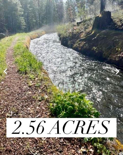 487 Canyon View Dr, Hathaway Pines, CA, 95233 | Card Image