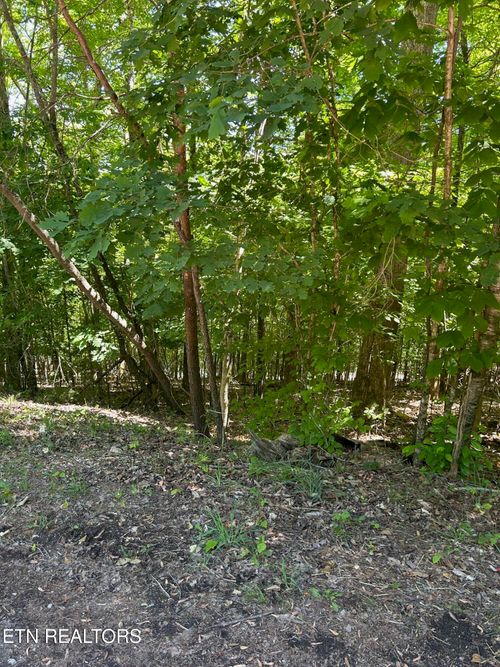 lot 63 Stoney Rock Ln, Jacksboro, TN, 37757 | Card Image