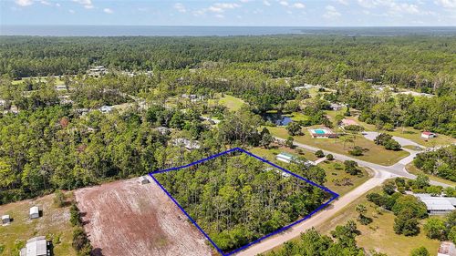 203 Ponderosa Pine Ct, Georgetown, FL, 32139-2523 | Card Image