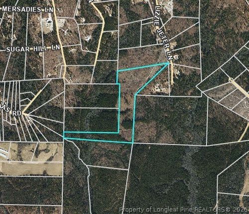 0 Lizzie Jeter Ln, Cameron, NC, 28326 | Card Image