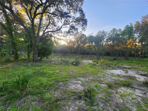 TBD Ne 82nd Pl, Bronson, FL, 32621 | Card Image