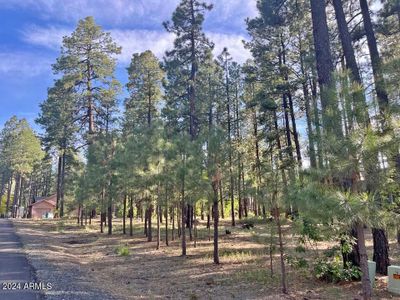 38 - 8508 Skywood Drive, Home with 0 bedrooms, 0 bathrooms and null parking in Pinetop AZ | Image 3