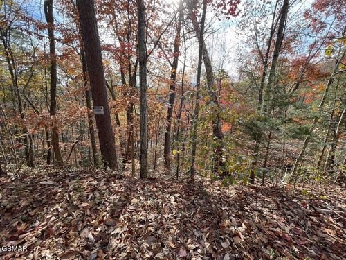 Lot 34R Sugar Mtn Way, Pigeon Forge, TN, 37863 | Card Image