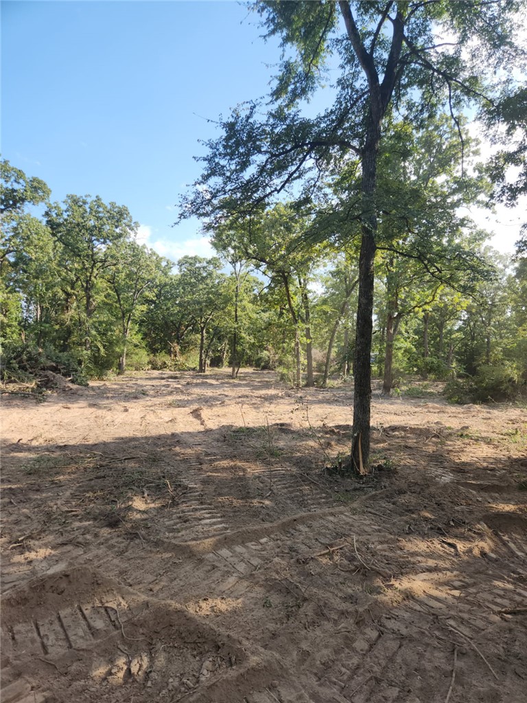 Land in Franklin 5