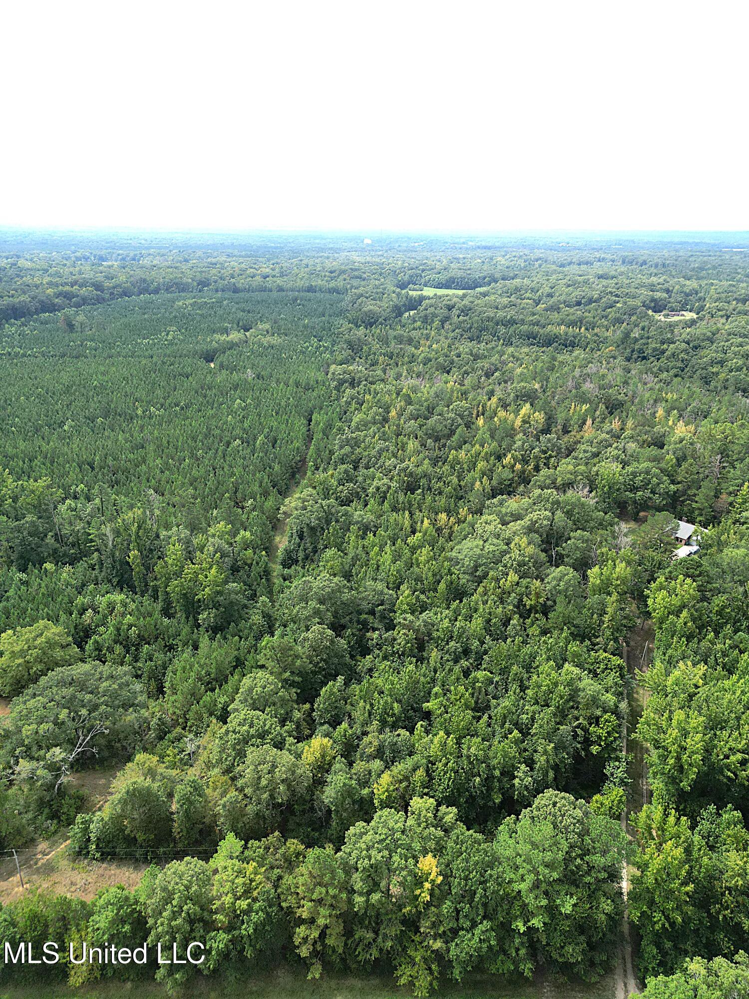 Land in Jackson 4