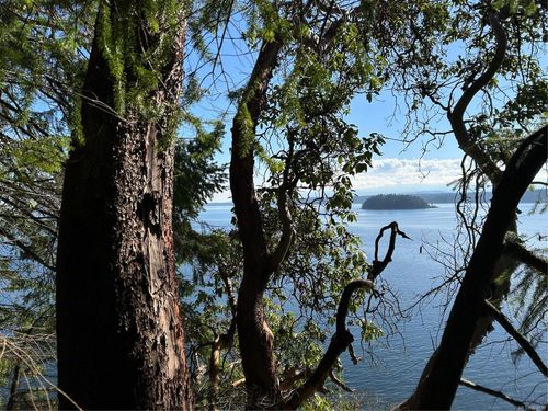 4 Apple Orchard Way, Mudge Island, NL, A1A1A1 | Card Image