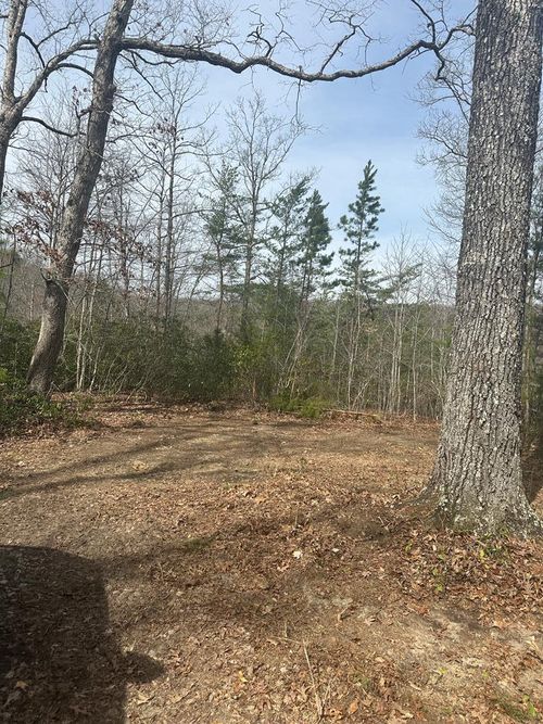 Lot 432 Valley View Cir, Wilder, TN, 38589 | Card Image