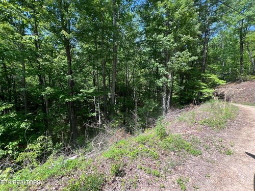 Lot 55 Butternut Lane, Sevierville, TN, 37876 | Card Image
