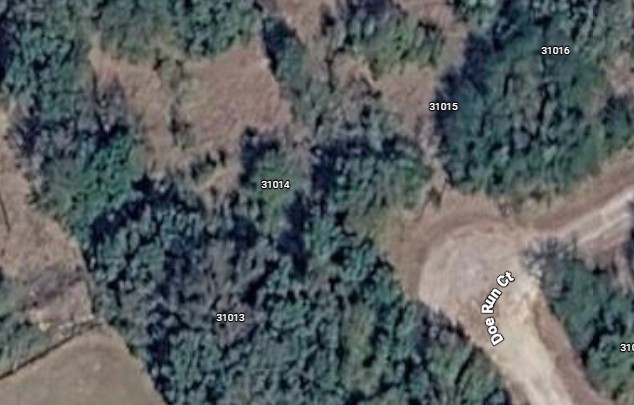 Land in Whitney 4