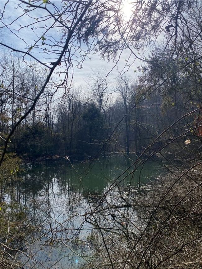 TBD 5051, Home with 0 bedrooms, 0 bathrooms and null parking in Pettigrew AR | Image 5
