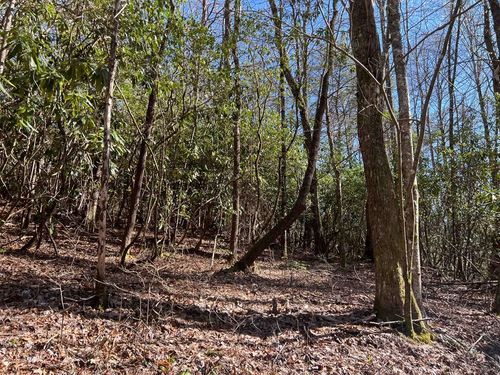 4.90 Wayah Road (Hwy 1310), Nantahala, NC, 28781 | Card Image