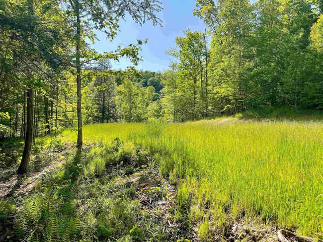 Lot 93 Laurel Loop   Whitewater Preserve Loop, Home with 0 bedrooms, 0 bathrooms and null parking in Bruceton Mills WV | Image 9
