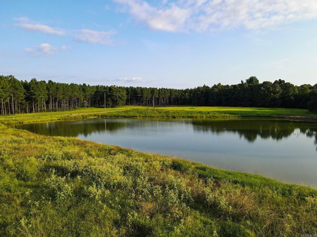 192 Sweet Gum Holw, Home with 0 bedrooms, 0 bathrooms and null parking in Rose Bud AR | Image 11