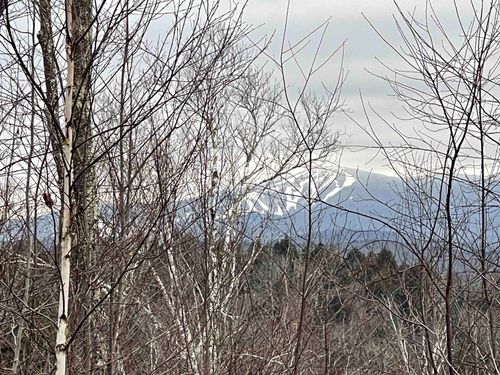 000 Rose Ln, South Londonderry, VT, 05155 | Card Image