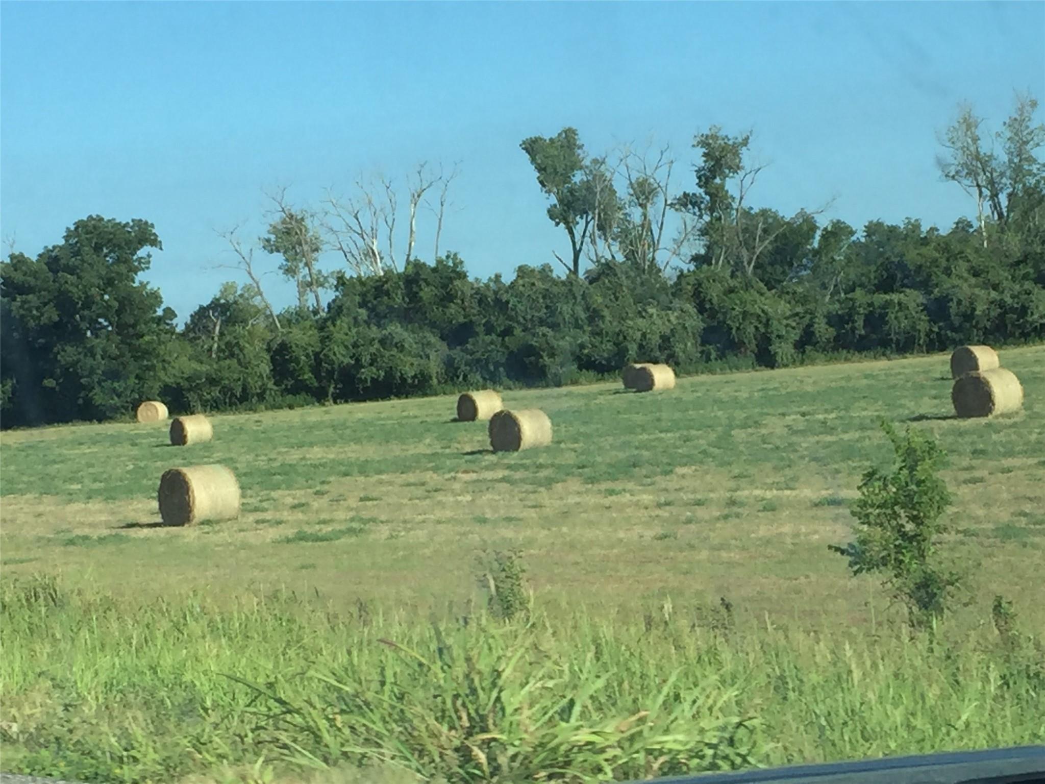 Farm in Franklin 2