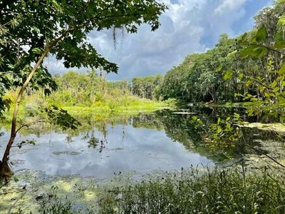 0 Lake Drive, Home with 0 bedrooms, 0 bathrooms and null parking in New Port Richey FL | Image 1