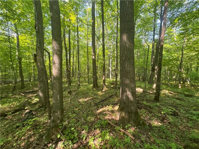 3088 110 Th St, Home with 0 bedrooms, 0 bathrooms and null parking in FREDERIC WI | Image 33